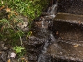 Bond Falls Scenic Site