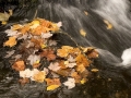 Bond Falls Scenic Site