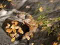 Bond Falls Scenic Site