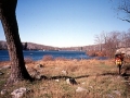 Backpacking in Harriman State Park, NY