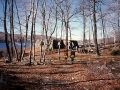 Backpacking in Harriman State Park, NY