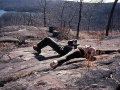 Backpacking in Harriman State Park, NY