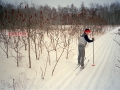 Heinerbeiner_XC Skiing