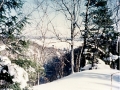 Hungarian Falls Snowshoeing