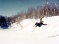 Hungarian Falls Snowshoeing