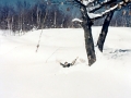 Hungarian Falls Snowshoeing