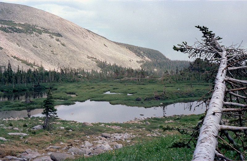 Indian Peaks Wilderness, CO