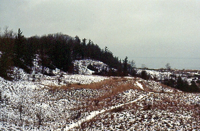 Indiana Dunes State Park