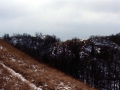 Indiana Dunes State Park