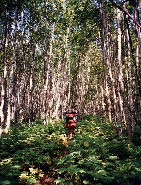 Isle Royale Backpacking