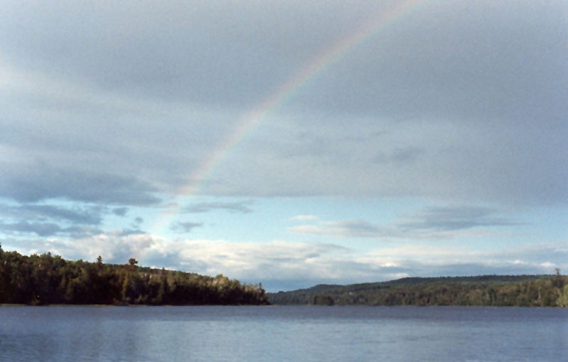 After the rain