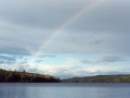 After the rain