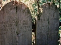 Cemetery Island grave sites