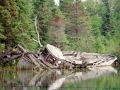 Abandoned boat in Chippewa Harbor