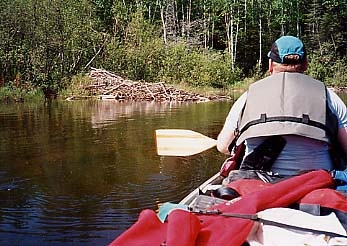Beaver Lodge on Ritchie