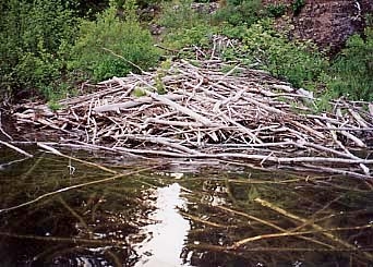 Beaver Lodge on Siskiwit