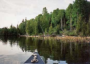 Evening Paddle at Wood Lake
