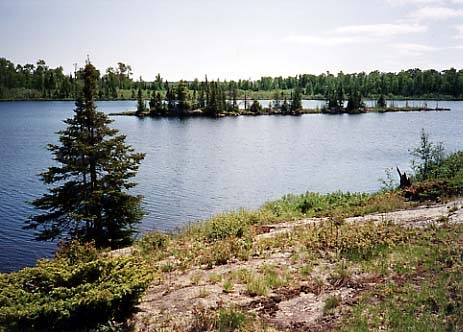 Lake Lesage View