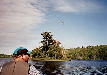On Chickenbone Lake