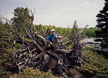 Stump on Island in Siskiwit Lake