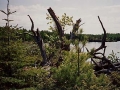 Island View - Siskiwit Lake