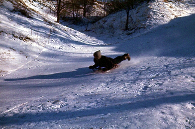 Sledding at Kensington Park