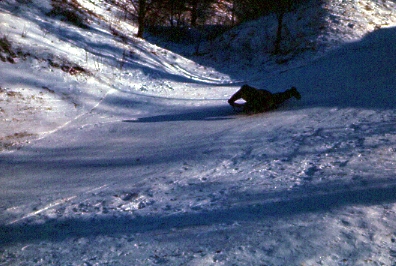 Sledding at Kensington Park