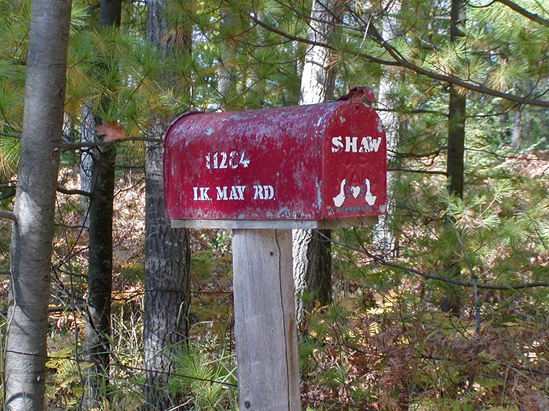 Shaw's Lake May Cabin