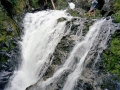 Olympic National Park Backpacking