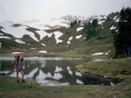 Olympic National Park Backpacking