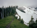 Olympic National Park Backpacking