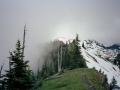 Olympic National Park Backpacking
