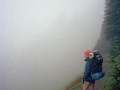 Olympic National Park Backpacking