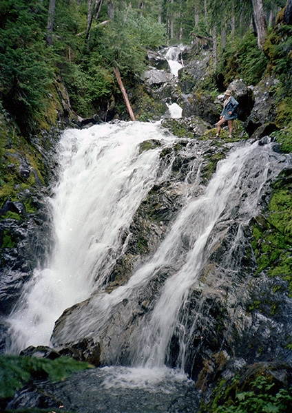 Olympic National Park Backpacking