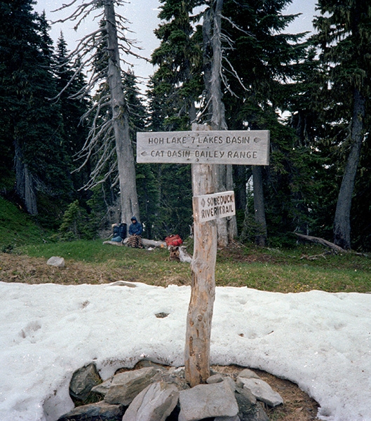 Olympic National Park Backpacking