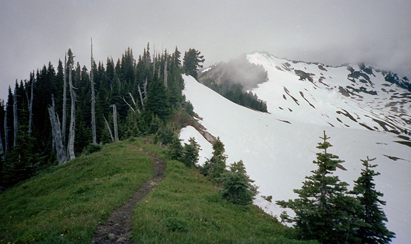 Olympic National Park Backpacking