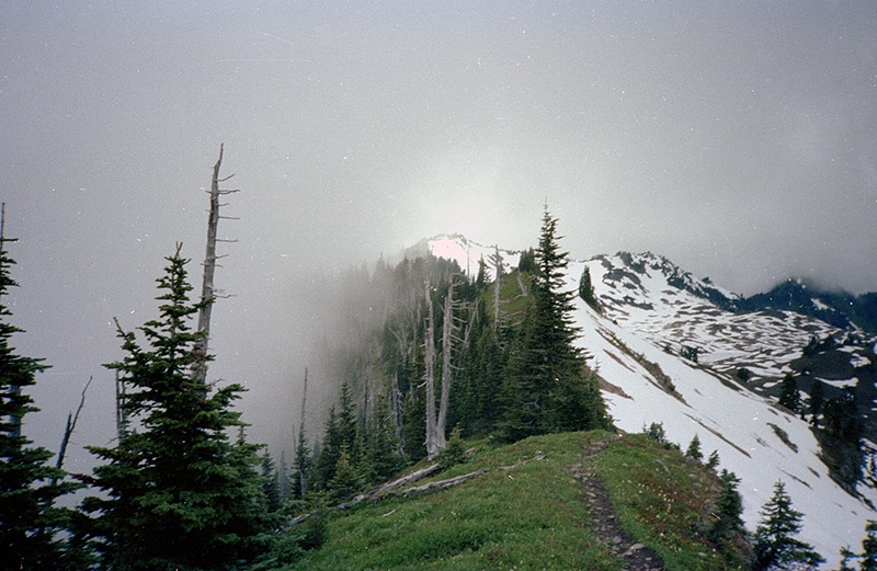 Olympic National Park Backpacking