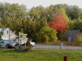 Hawks, Michigan