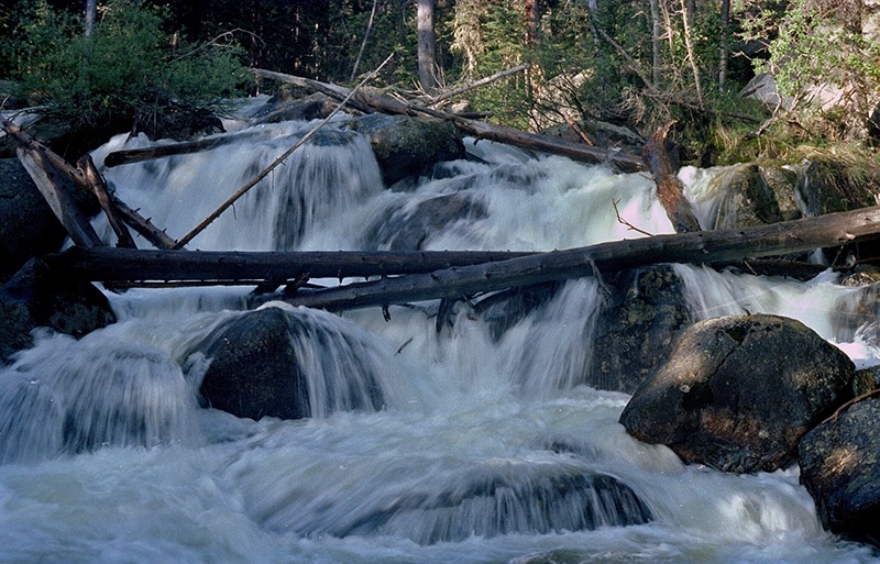 Wild Basin Hiking