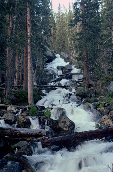 Wild Basin Hiking