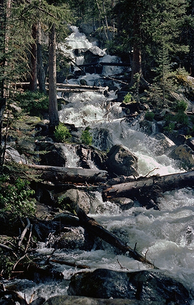 Wild Basin Hiking