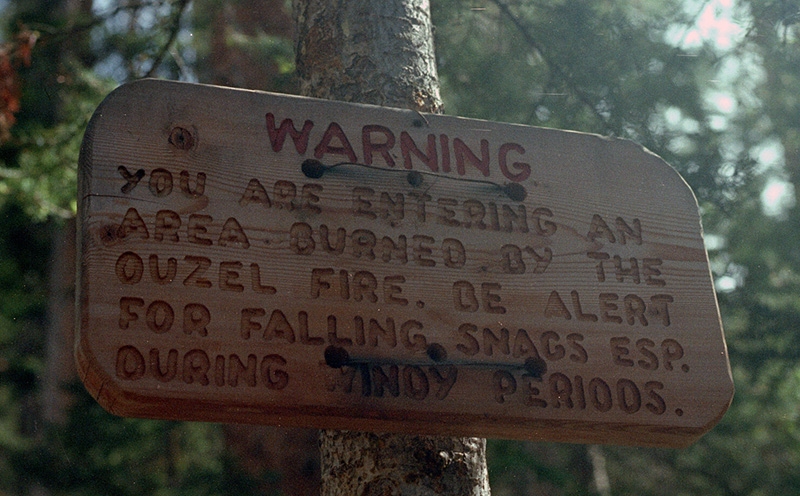Wild Basin Hiking