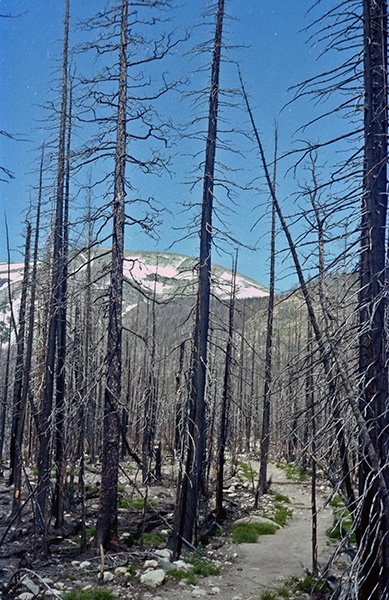 Wild Basin Hiking
