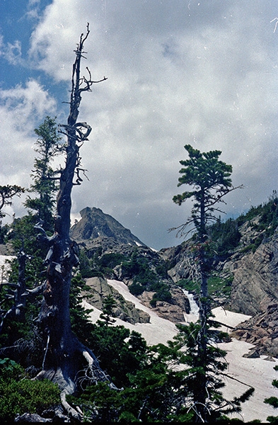 Wild Basin Hiking
