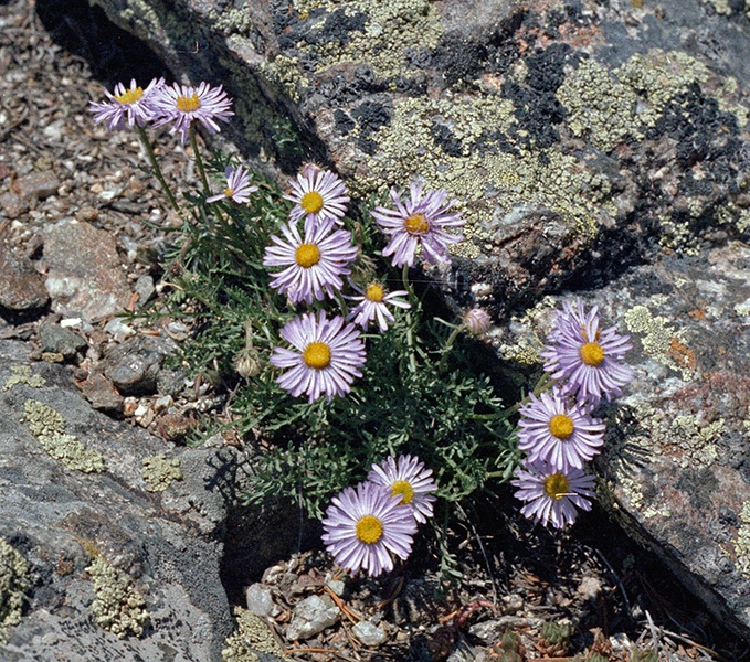 Wild Basin Hiking