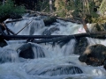 Wild Basin Hiking