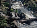 Wild Basin Hiking