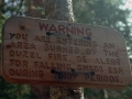 Wild Basin Hiking