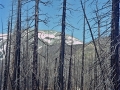 Wild Basin Hiking