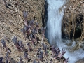 Wild Basin Hiking